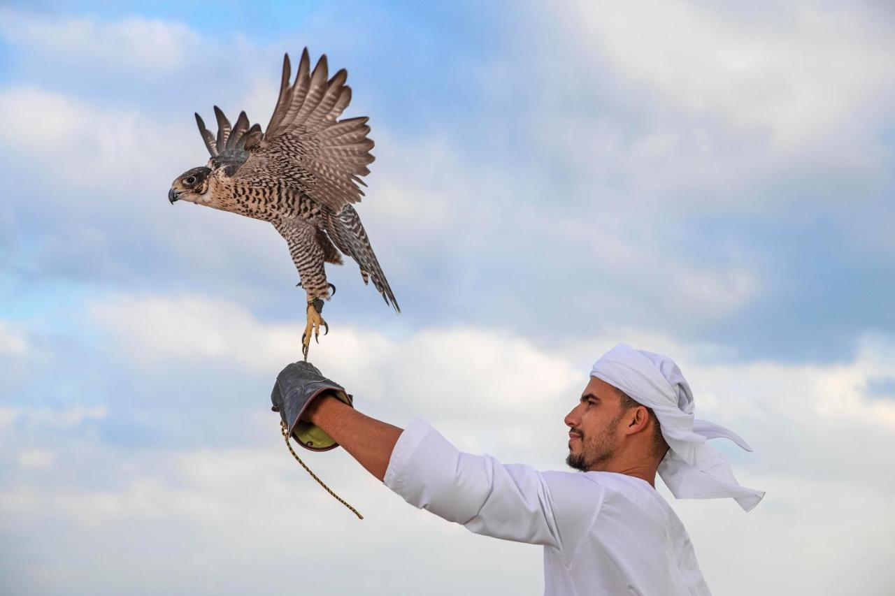 فيلات أنانتارا الساحل في جزيرة صير بني ياس Zahr المظهر الخارجي الصورة